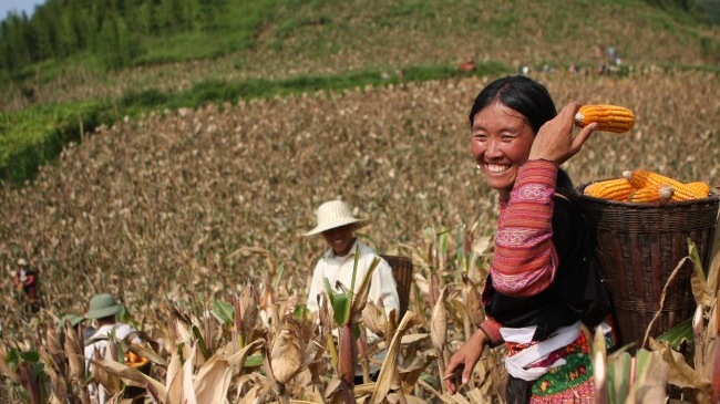 เวียดนามเน้นแก้ปัญหาความยากจนให้เหลือน้อยที่สุด